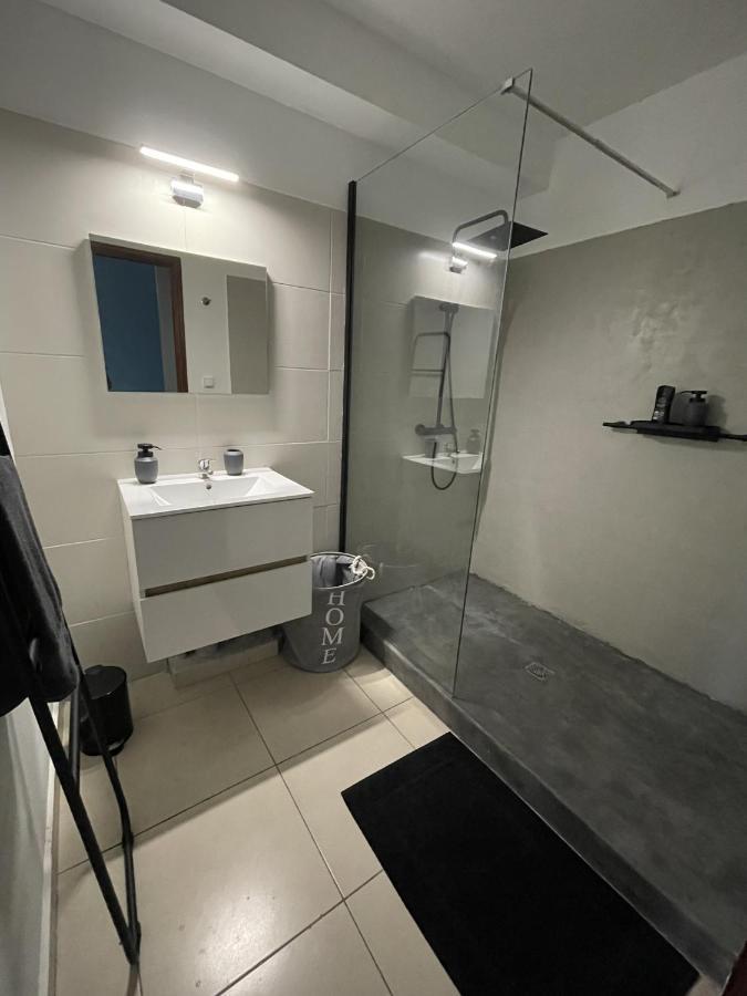 דירות סיינט דניס Loft Dionysien De Standing מראה חיצוני תמונה